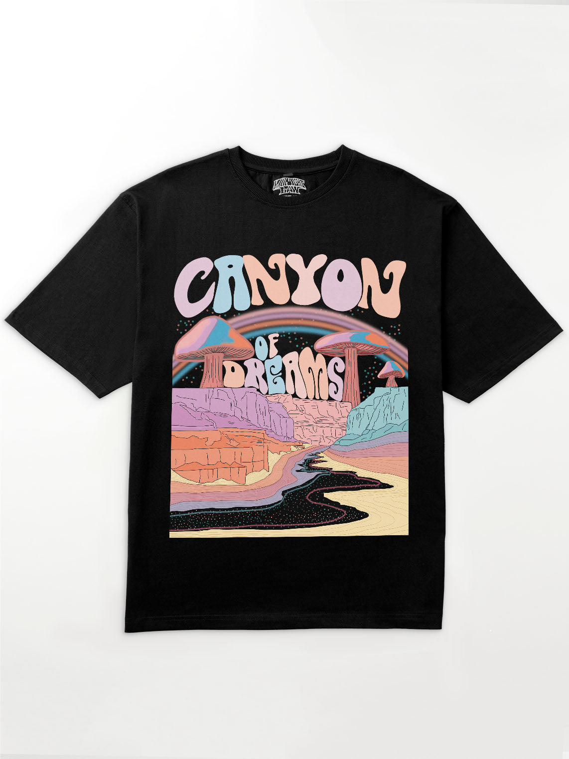 Canyon of Dreams Oversized T-Shirt [Unisex]