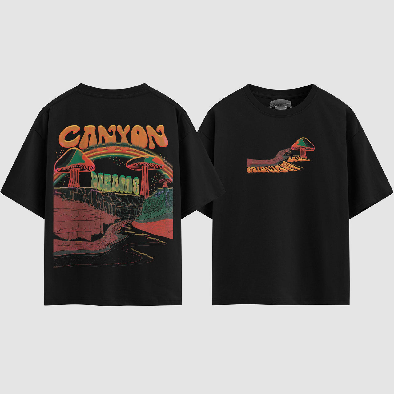 Canyon of Dreams Oversized T-Shirt [Unisex]